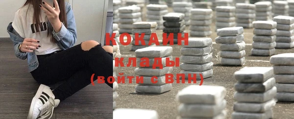 СК Алексин