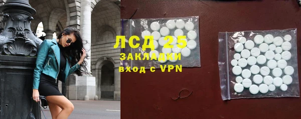 СК Алексин