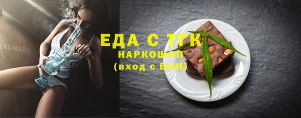 СК Алексин