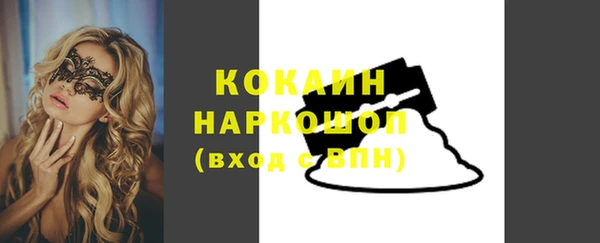 СК Алексин