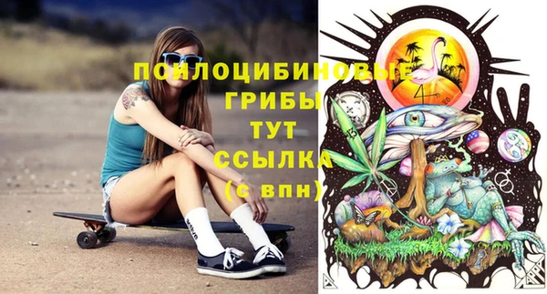 герыч Алзамай